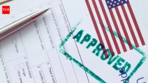 Two new questions to be posed at US consulates during visa interviews
