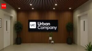 Urban Company’s InstaHelp losses widen as it steps up battle with Pronto, Snabbit