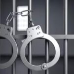 10,312 arrested in 2024 in cases linked to cruelty against animals, NCRB tracks animal cruelty cases for the first time. India News