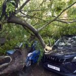 Seven die as thunderstorm & lightning wreak havoc in state. Patna News
