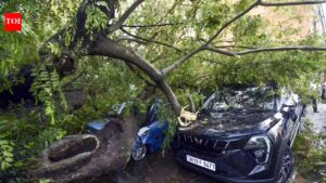 Seven die as thunderstorm & lightning wreak havoc in state. Patna News