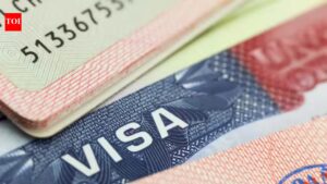 Catch-22 for visa applicants as US adds 2 more questions