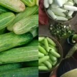 Is your cucumber safe? This is what sellers are doing to your cucumber