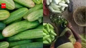 Is your cucumber safe? This is what sellers are doing to your cucumber