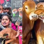 In a 1st, NCRB tracks cases of cruelty against animals: 10,312 arrested in 2024 | India News