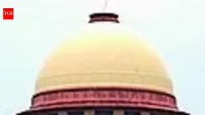 Supreme Court turns down scamster’s plea to club FIRs. India News