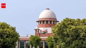 Murder, abatement accused can’t inherit victim’s property: Supreme Court | India News