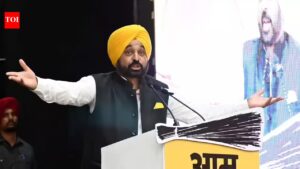‘This is Punjab, not scared by threats’: Bhagwant Mann after ED raid on minister India News