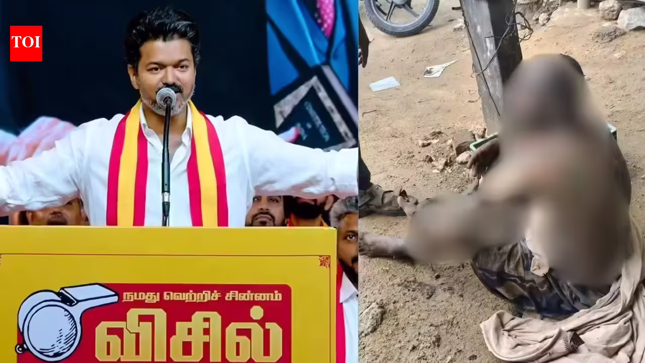 Tamil Nadu Govt Formation: TVK functionary attempts self-immolation as Vijay’s CM ambitions face delays. Madurai News