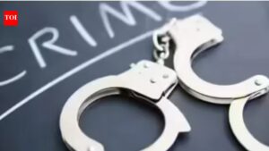 Seven injured in clash during procession in Sheikhpura. Patna News