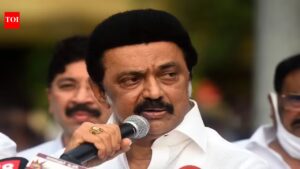 My priority was to avoid re-election in Tamil Nadu, says Stalin. chennai news