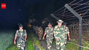 BSF firing kills two Bangladeshi ‘smugglers’ along Tripura border. Guwahati News