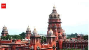 Former DMK minister moves Madras high court seeking to restrain TVK’s Srinivasa Sethupathi from taking oath as MLA. chennai news