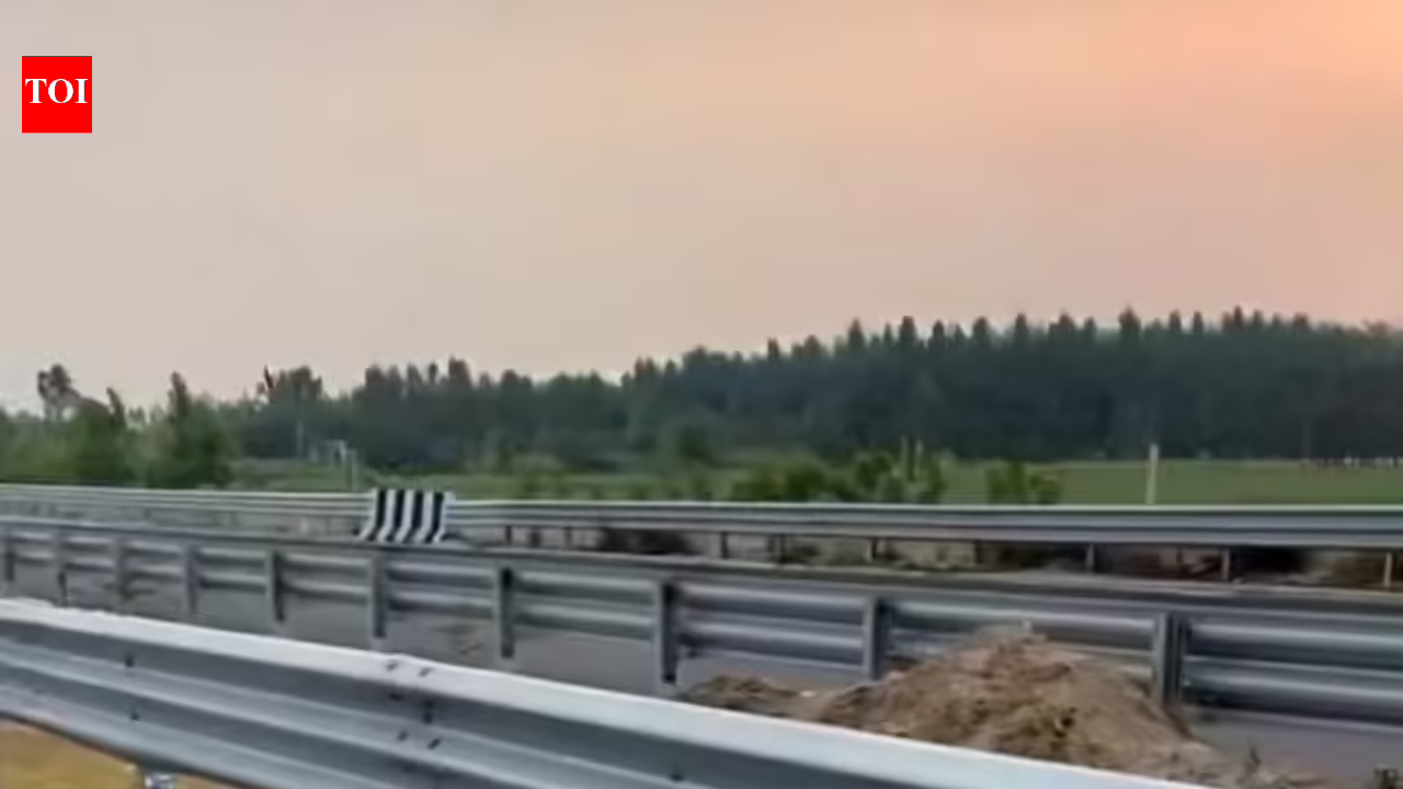 Animals paying price for faster access on new Delhi-Doon expressway? | Dehradun News