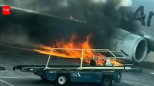 Plane with 231 flyers runs over jaywalker, engine catches fire