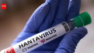 Hantavirus may’ve spread to remote island