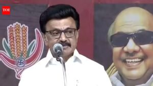 Informed Stalin of move, says VCK’s Thirumavalavan. India News