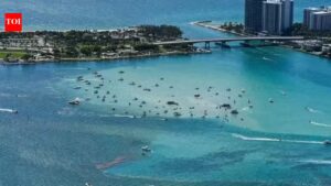 Miami boat explosion: At least 15 injured near Haulover Sandbar – what we know so far