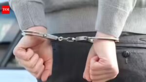 Pakistani national among 3 arrested in US for attempting to smuggle 89 firearms into Canada