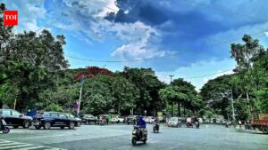 Scorching heat in Pune sparks rise in eye, kidney & gut ailments. Pune News