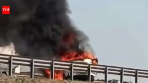 Gujarat shocker: 30-year-old’s ‘surprise’ visit to pregnant wife ends in road tragedy. Vadodara News