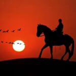 The 5 most loyal animals of history and the legends they left behind