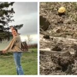 Exclusive: This Montana family discovers a den of snakes in their farmhouse; this is what happens next…