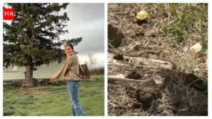 Exclusive: This Montana family discovers a den of snakes in their farmhouse; this is what happens next…