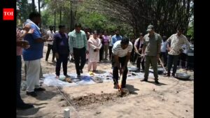 MU team begins excavation of Gaya’s ancient Dubba site. Patna News