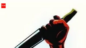 15-year-old student stabbed to death over dispute with his younger brother in NE Delhi | Delhi News
