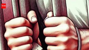 Smile during ‘snatching’ leads police to staged robbery plot. Delhi News