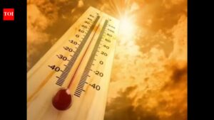 Goa reels under intense heat, ‘feels like’ temp touches 47°C | Goa News