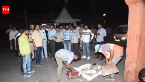 JMC launches overnight clean-up drive in Walled City. Jaipur News