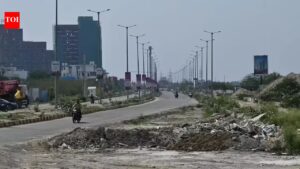 Gomti Nagar Extn residents flag pothole menace ahead of rains. Lucknow News