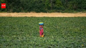 India should resist EU, US pressure on data exclusivity in farm-chemicals: GTRI flags