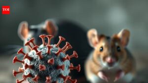 US passenger evacuated from hantavirus-hit cruise ship tests ‘mildly’ positive
