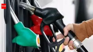 India has enough petrol, diesel and LPG stocks; no fuel rationing planned: Center