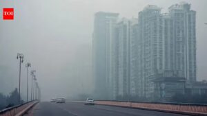 57,670 environment and pollution-related crimes in 2024, most were under anti-tobacco law. India News
