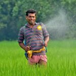Govt should bring policy to reduce fertilizer use: Farmer leaders. Bhubaneswar News