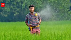 Govt should bring policy to reduce fertilizer use: Farmer leaders. Bhubaneswar News
