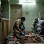 Drishyam-style crimes that blur the line between thriller and reality. Delhi News