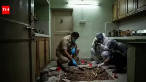 Drishyam-style crimes that blur the line between thriller and reality. Delhi News