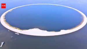 Protecting Life: Poland spent millions on an artificial island to protect rare birds and conserve wildlife. world news