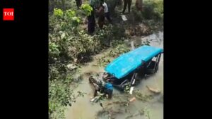 E-rickshaw falls in Hazaribag river, 8 injured. Ranchi News