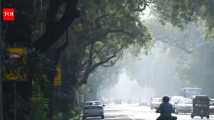 More trees doesn’t always mean less heat: IIT-Gn study | Ahmedabad News