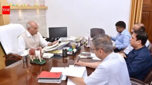 Speed ​​up fodder collection: Min | Lucknow News