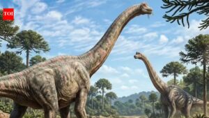 Giant 120-million-year-old dinosaur species unearthed in Brazil |