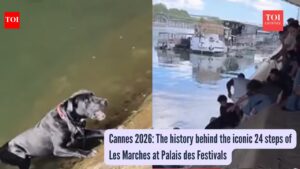 Peak humanity: Parisians form a human chain to save a drowning pup from the Seine River