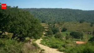 Karnataka suspends trekking activities on forest trails with wildlife movement. Bengaluru News